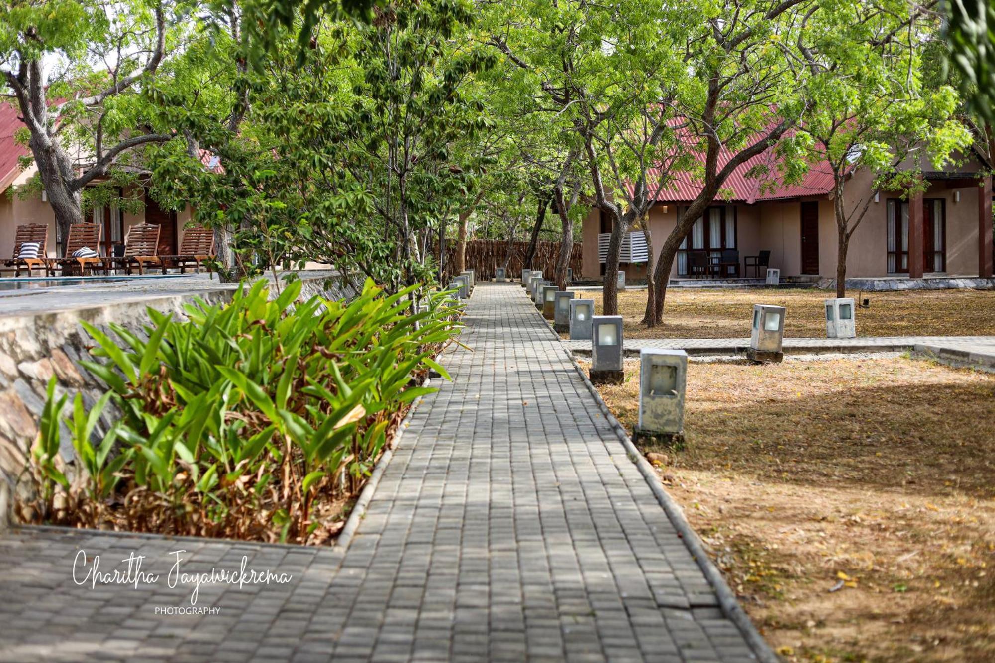 Yala Chalets By Lalan Leisure Kirinda  Exterior foto